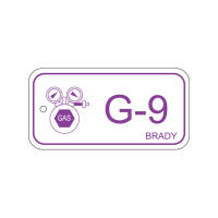 Energy tag-G-9-75x38mm-PP/25